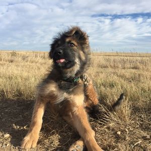 Meet your Posher, Morgan